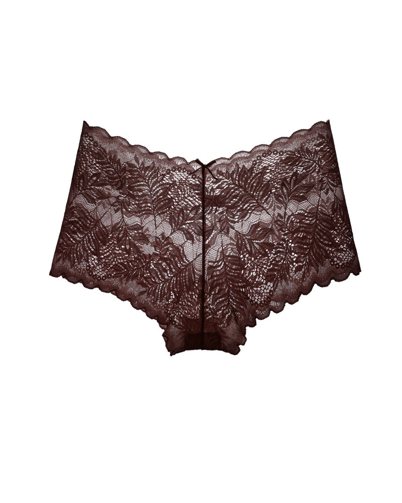 Women's Cotton Bottom Semi-Transparent Seamless Soft Lace Panties