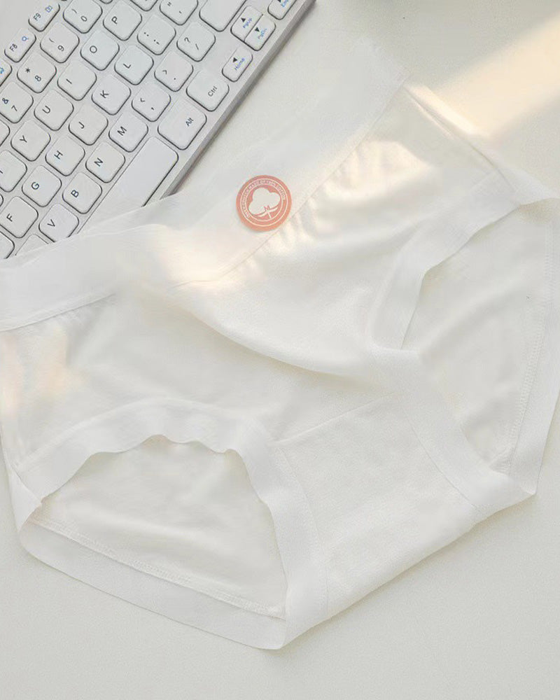 Women's Summer Thin Cotton Colorful Underwear 5 Pack