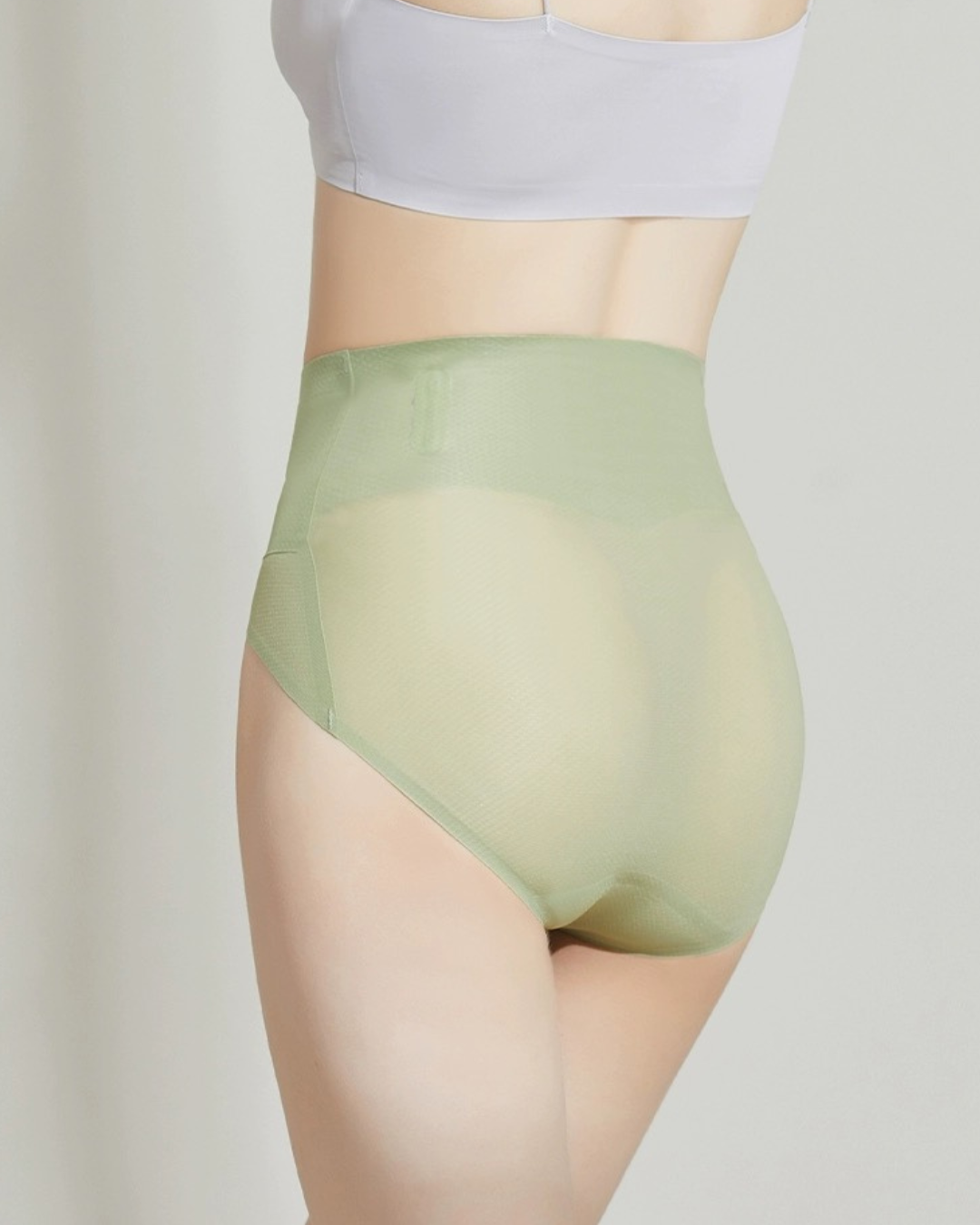 Super High Cut Brief Panties